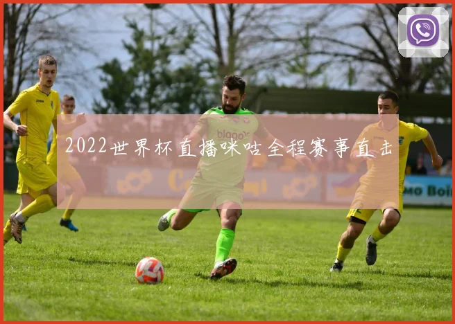 2022世界杯直播咪咕全程赛事直击